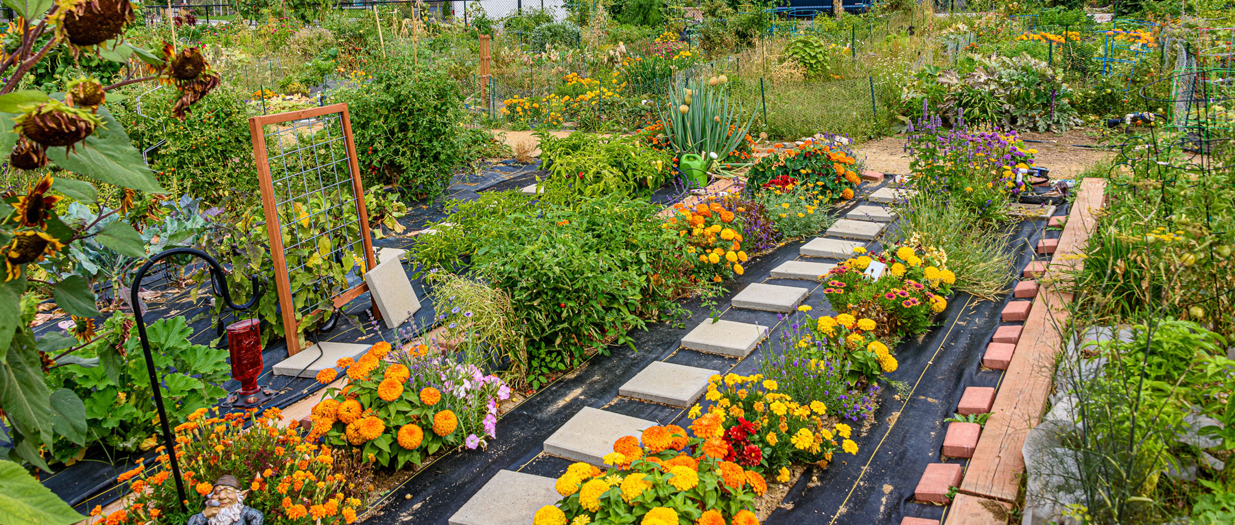 How Do Community Gardens Benefit Communities 