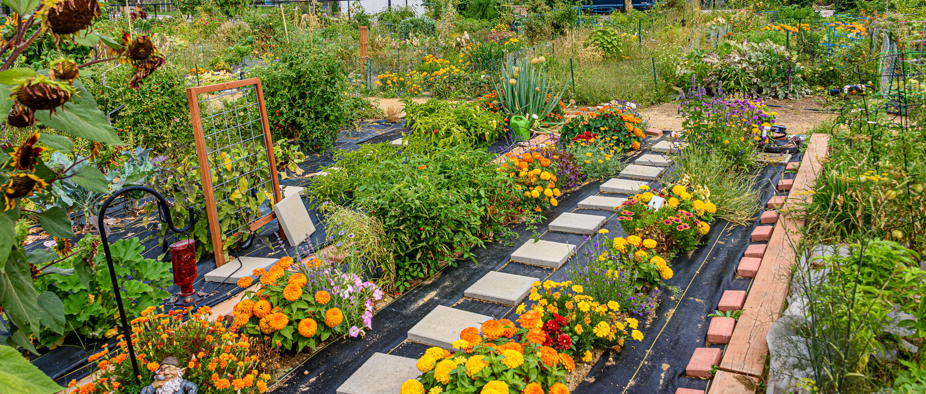 Commercial Gardening