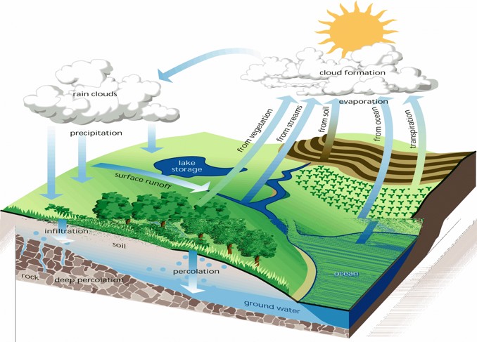 graphic showing the cycle of water from rain to agriculture to groundwater