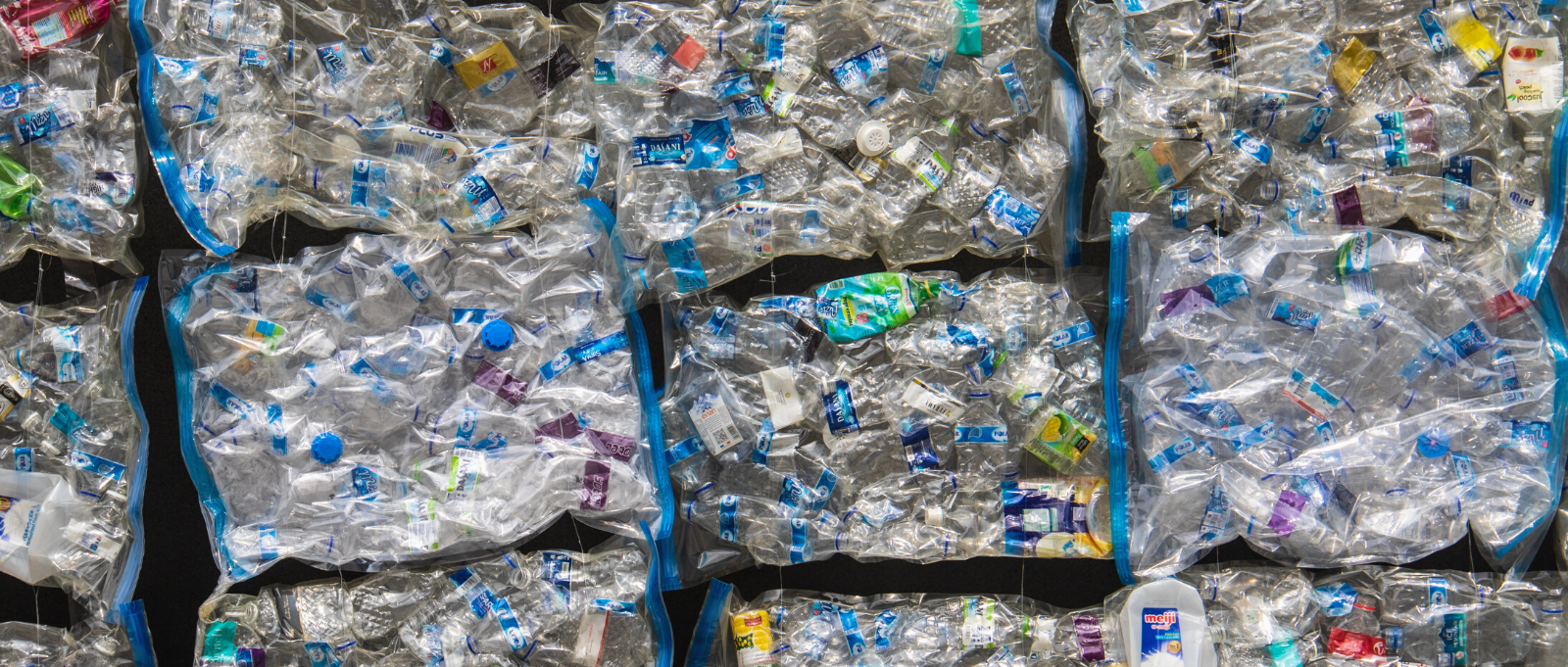 Plastic Food Storage Containers - Santa Cruz Recycles
