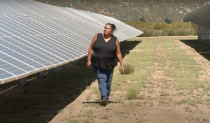 Vivian Hamilton surveys the Santa Rosa Community Solar Project built on reservation land